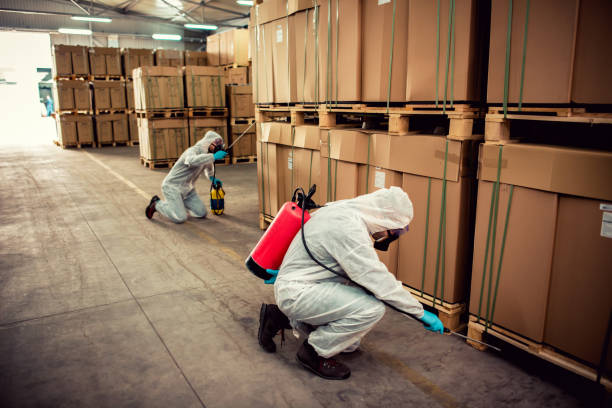 Best Affordable Pest Control Services  in Grayson Vley, AL