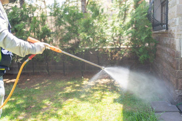 Best Mosquito Control Services  in Grayson Vley, AL
