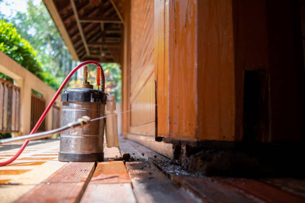 Best Pest Removal Services  in Grayson Vley, AL