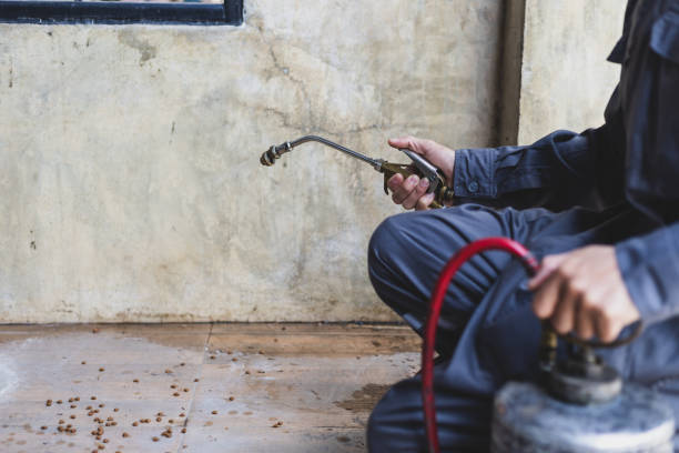 Best Pest Prevention Services  in Grayson Vley, AL